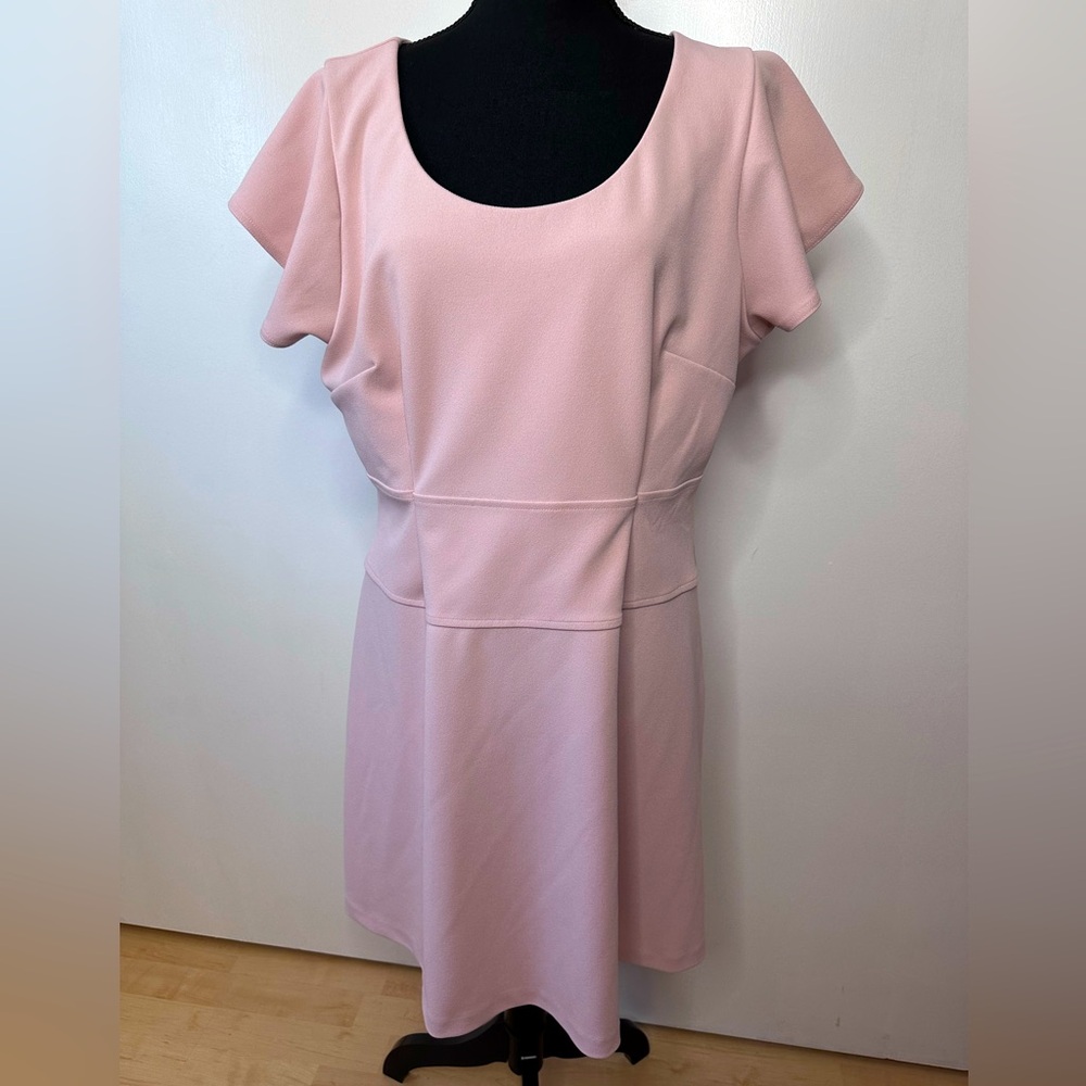 Express | Dusty Pink Ruffled Sleeve Skater Dress